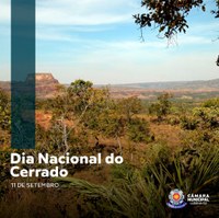 Cerrado é o segundo maior bioma da América do Sul
